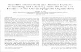 Selective Intervention and Internal Hybrids: Interpreting ... · PDF fileSelective Intervention and Internal Hybrids: Interpreting and Learning ... research as well as in managerial