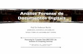 An lise Forense de Documentos Digitaisrocha/teaching/2011s2/mo447/aulas/aula-11-steg... · • Slides em Inglês ... J. Fridrich, M. Goljan, and R. Du. Detecting LSB Steganography