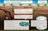 An introduction to soil biology - AHDB Cereals & Oilseeds · PDF fileAn introduction to soil biology ... While the Agriculture and Horticulture Development Board seeks to ensure that