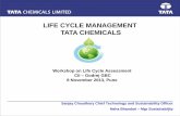 LIFE CYCLE MANAGEMENT TATA CHEMICALS - · PDF fileLIFE CYCLE MANAGEMENT TATA CHEMICALS Workshop on Life Cycle Assessment ... P C Stripper Air Compressor. 21 Key Attributes, Inventory