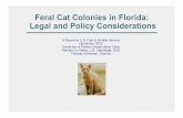 Feral Cat Colonies in Florida: Legal and Policy Considerations · PDF fileFeral Cat Colonies in Florida: Legal and Policy Considerations A Report to U.S. Fish & Wildlife Service December