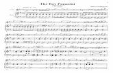 The Boy Paganini - El Atrilel-atril.com/partituras/Mollenhauer/paganiniboy.pdf · Allegro Violin The Boy Paganini Fantasia Edward Mollenhauer = 132 Piano simile 17