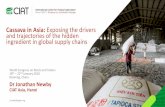 Cassava in Asia: Exposing the drivers and trajectories of the hidden ingredient · PDF file · 2016-02-19and trajectories of the hidden ingredient in global supply chains Dr Jonathan