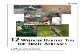 12 Wildlife Habitat Tips for Small Acreages - MP478 · PDF filetotal land base in Arkansas is privately owned ... travel great distances to meet their seasonal ... Bobwhites use this