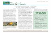 Family Forests and Wildlife: What You Need to · PDF fileFamily Forests and Wildlife: What You Need to Know ... enhance wildlife habitat on their proper - ... observe wildlife on their