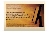 The Interoperation of Intellectual Property and ... · PDF filepromotes long-term dynamic efficiency ... innovation that benefits consumer welfare” ... normally used is a price-substitution