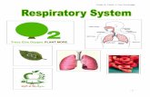 Grade 8- UnitL.1 Gas Exchange - Science Curriculum Office · PDF file · 2011-01-04their role in gas exchange (breathing). )فل٘زُا ... The respiratory system is made up of the