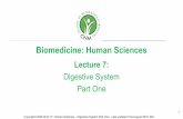 Part One Biomedicine: Human Sciences Digestive System · PDF file · 2017-01-06Mucosa: Epithelium • Mouth, pharynx, oesophagus & anus: non-keratinised epithelium for protection