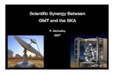 GMT and SKA - Giant Magellan Telescope · PDF fileGMT and the SKA P. McCarthy GMT ... 1AU at 100pc - 100 pc at z = 1 Large collecting area - 380 m2 - 10 x Magellan 6.5m ... Coronagraphy,