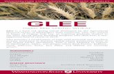 GLEE - WSU Small Grainssmallgrains.wsu.edu/wp-content/uploads/2017/07/Glee-rack-card.pdfGlee is a hard red spring wheat developed by the Agricultural Research Center of Washington
