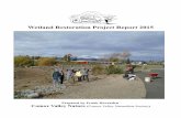 Wetland Restoration Project Report 2015 - Comox …comoxvalleynaturalist.bc.ca/wp-content/uploads/2016/01/Wetland...Wetland Restoration Project Report 2015 Prepared by Frank Hovenden