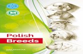 Polish Breeds - · PDF fileThis guide is a short presentation of Polish breeds, which are a constant part of Polish culture and history. ... came the show elegant with long, thick
