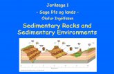 Ólafur Ingólfsson Sedimentary Rocks and Sedimentary ...oi/Historical Geology pdf/2-Sedimentary Rocks... · Sedimentary structures Cross bedding is formed by the migration of sand