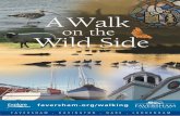 A Walk - Faversham leaflet FINAL.pdf · Take a Walk on the Wild Side and discover one of Kent’s most beautiful wildlife havens on the doorstep of the historic market town of Faversham.