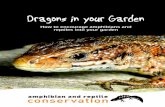 How to encourage amphibians and reptiles into your · PDF filefrogs, toads, newts, snakes and lizards. By Chris Baines ... Amphibians were the first back-boned animals to walk the