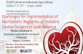 Challenges for Implementation of Multicentric Registries of Pediatric ... · PDF fileChallenges for Implementation of Multicentric Registries of Pediatric Cardiac Surgery in Latin