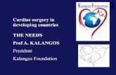 Cardiac surgery in developing countries THE NEEDS Prof …static.livemedia.gr/hcs2/documents/al18822_us41_20161026100403_24... · Cardiac surgery in developing countries THE NEEDS