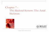 Chapter 7 : The Skeletal System: The Axial Skeleton · PDF file · 2016-11-16Short bones Cube-shaped ... Projections or outgrowths that form joints or serve as attachment points for