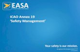ICAO Annex 19 - EASA | European Aviation Safety Agency · PDF fileICAO Annex 19 20 SSP/SMS Components Safety Policy and Objectives Safety Risk Management Safety Assurance Safety Promotion