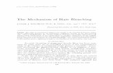 The Mechanism of Hair Bleaching - No · PDF fileHAIR BLEACHING 877 The melanin was isolated from the hair by acid hydrolysis according to the method of Green and Happey (19). Purified
