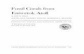 Fossil Corals from Eniwetok Atoll - USGS · PDF fileFossil Corals from Eniwetok Atoll By JOHN W. WELLS BIKINI AND NEARBY ATOLLS, MARSHALL ISLANDS GEOLOGICAL SURVEY PROFESSIONAL PAPER