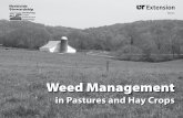 Weed Management - University of Tennessee Extension · PDF file2 G. Neil Rhodes, Jr., Professor and Extension Weed Specialist, and William P. Phillips, Jr., Graduate Research Assistant
