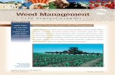 Organic Ag Bulletin 1883 - Integrated Crop Managementextension.agron.iastate.edu/organicag/pubs/PM1883.pdf · FOR ORGANIC FARMERS Weed Management A 2 P AGE E Natural mulches can regulate