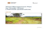 Grader grass weed management plan - NT.GOV.AU · PDF fileWeed Management Plan for Grader Grass (Themeda quadrivalvis) 2016 iii Executive summary This Weed Management Plan forms part