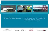 Guidelines for SuStainability in Supply ChainSaries.mq.edu.au/projects/SupplyChain/pdf/supply_chain_guidelines.pdf · criteria to guide sustainability decision-making because ...