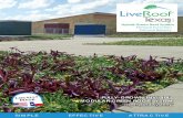 Made MODULAR GREEN ROOF SYSTEM “The Hybrid · PDF fileMODULAR GREEN ROOF SYSTEM “The Hybrid System ... It is no secret that the best gardens are only ... An extensive green roof