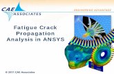 Fatigue Crack Propagation Analysis in ANSYS modeled directly in finite element analysis. • Include a crack in the finite element model, and perform a series of solutions to find