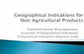 Prashanth Kumar Bhairappanavar Examiner of · PDF filePrashanth Kumar Bhairappanavar . Examiner of Geographical Indications . ... the Taj Mahal’ to the Banaras Brocades and Sarees