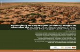 Ensuring acceptable animal welfare standards under the ... · PDF fileProject (AFCMP). This paper discusses ... A model has been developed to ... (e.g. herding feral camels prior to