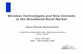 Wireless Technologies and New Entrants in the Broadband ... · PDF fileWireless Technologies and New Entrants ... - to adopt the technology themselves ... Demand for broadband access