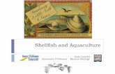 Shellfish and Aquaculture - University of Delawaredarc.cms.udel.edu/ibsa/13_Leavitt_Shellfish_Aquaculture.pdf · Shellfish biology / Shellfish aquaculture ... Hypothetical quahog