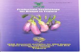 Production Techniques for Brinjal in ... - tripuraicar.nic.intripuraicar.nic.in/publication/AGRICULTURE 02/PRODUCTION TECHNOLOGY...Brinjal (Solanum melongena ... Shoot and fruit borer