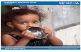 Emergency Response Fund Yemen - UNOCHA Annual Report...Emergency Response Fund – Yemen ... of $250.000, life-saving, ... emergency obstetric care and post-natal care) were provided