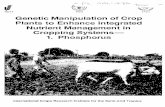 Genetic Manipulation of Crop Plants to Enhance Integrated …pdf.usaid.gov/pdf_docs/PNABW686.pdf · 1O ,ISAT FAO . IAEA . Genetic Manipulation of Crop Plants to Enhance Integrated