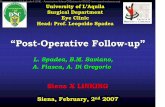 “Post-Operative Follow-up” - A.I.CHE. Associazione … of L’Aquila Surgical Department Eye Clinic Head: Prof. Leopoldo Spadea L. Spadea, B.M. Saviano, A. Fiasca, A. Di Gregorio
