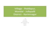 Village - Peddapur, Mandal - Jullapalli District - … visit/Peddapur...Village - Peddapur, Mandal - Jullapalli District - Karimnagar By Anand Devender Karuppasammy Nitish Rohit Overview