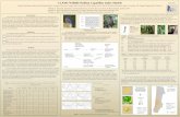 CLAMS Wildlife Habitat Capability Index Models - Forest …€¦ ·  · 2002-07-05CLAMS Wildlife Habitat Capability Index Models ... we assumed that no pre-defined vegetation classes