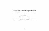 Molecular Docking Tutorial - Page Not Found | … Docking Tutorial The use of VMD, Autodock Tools 1.4.4 and Autodock 4.0 Khaled H. Barakat Jack Tuszynski Group PharmaMatrix workshop