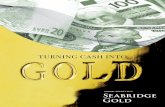 TURNING CASH INTO - Seabridge Gold :: Homeseabridgegold.net/pdf/2015_Ann_Rep.pdfgdN”bxq?d t?C2q tLRF% 2 Chief Executive Officer’s REport to Shareholders 2015 was another difficult