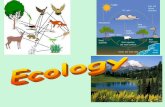 1. Abiotic factors are NON-LIVING factors - Mrs. Roderickmrsroderick.com/classnotes/ecology.pdf · Abiotic factors are NON-LIVING factors Ex: ... What are the factors in an environment