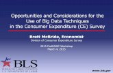 Opportunities and Considerations for the Use of Big Data ... · Opportunities and Considerations for the Use of Big Data Techniques in the Consumer Expenditure (CE) Survey ... Link
