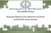 Testing Options For Adrenal Cortisol and DHEA Assessmentadrenalmasterycourse.com/wp-content/uploads/2016/04/Testing... · Testing Options For Adrenal Cortisol and DHEA Assessment