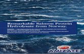 Remarkable Salmon Protein Hydrolysate from Norway. · Remarkable Salmon Protein Hydrolysate from Norway. AMIZATE® – truly natural and pure 25 amino acids, short peptides and micronutrients
