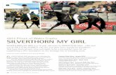 2013 Prince of Wales Trophy SILVERTHORN MY GIRL · ILVERTHORN MY GIRL has been on our show team for 11 years, and has brought great kudos to our Silverthorn Australian Stock Horse