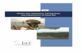 BRI Osprey 2012 report FINAL sub w cov page052813muskie.usm.maine.edu/cascobay/pdfs/bri_osprey_report...OSPREY NEST ABUNDANCE, DISTRIBUTION AND PRODUCTIVITY IN CASCO BAY: 2012. CBEP-FUNDED