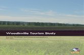 Woodinville Tourism Study - Woodinville wine country Tourism ... messages that were present during the ... the City should continue the discussion of how to improve the tourism industry